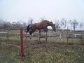 Betti :)